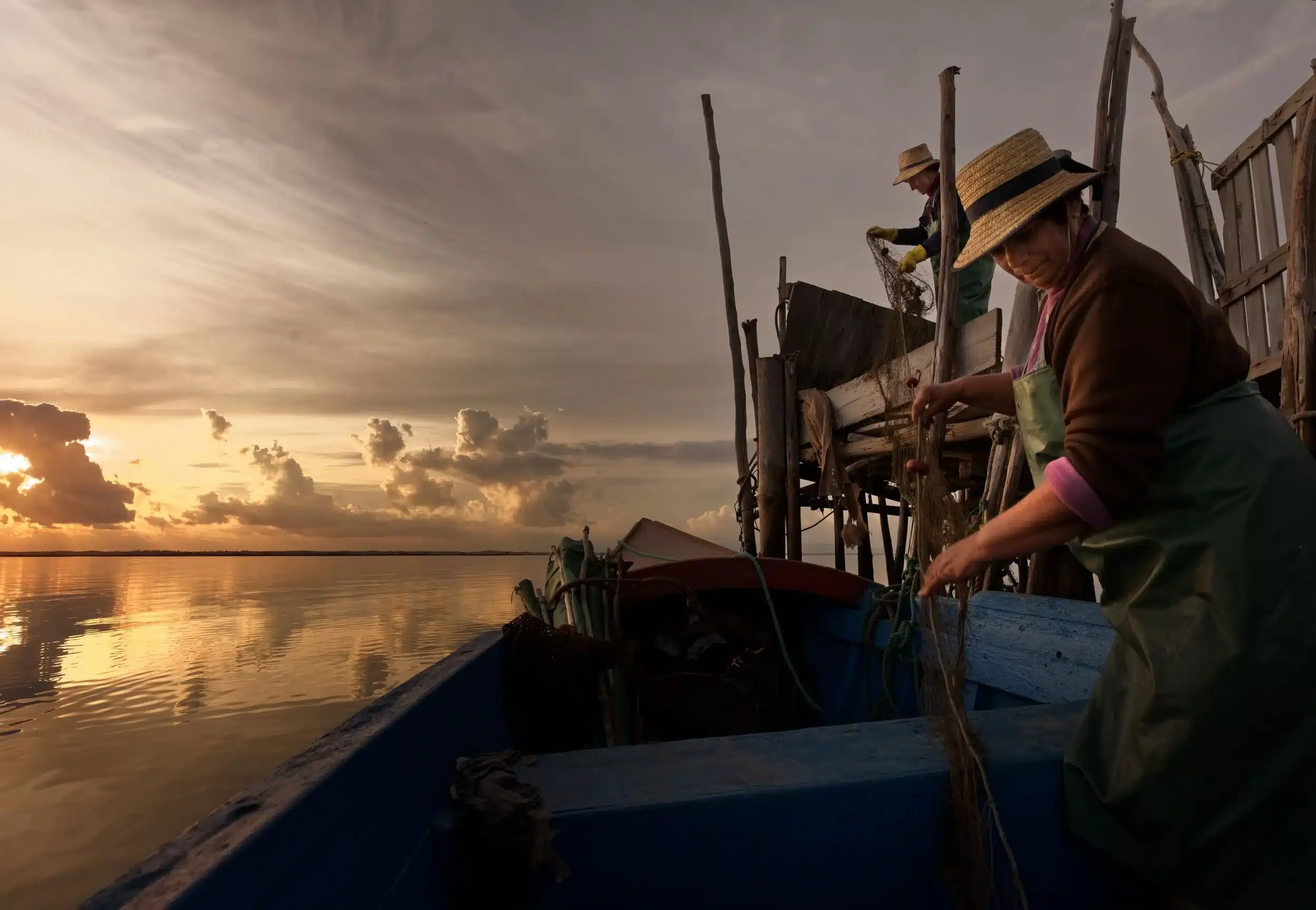 ocean alive - guardias do mar