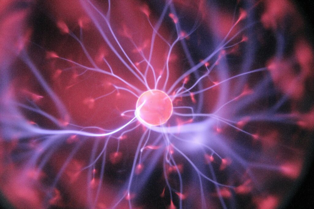 neuronios