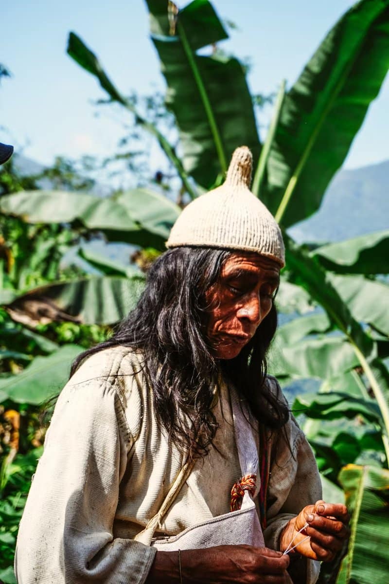 indigena