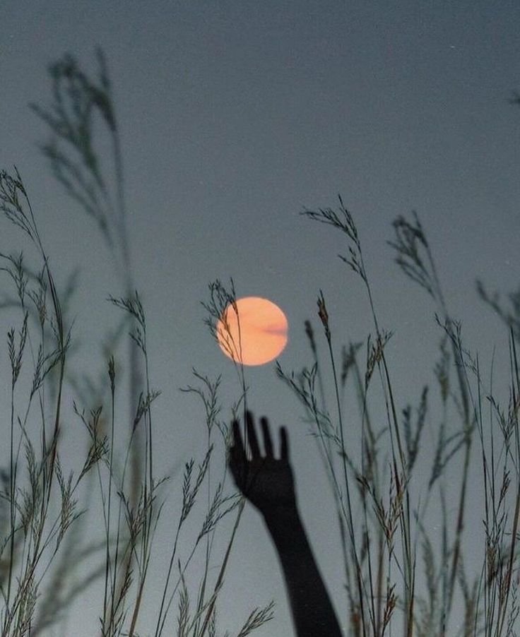 Lua