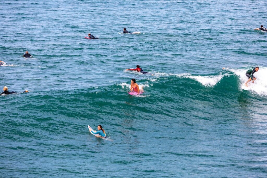 line up - surf