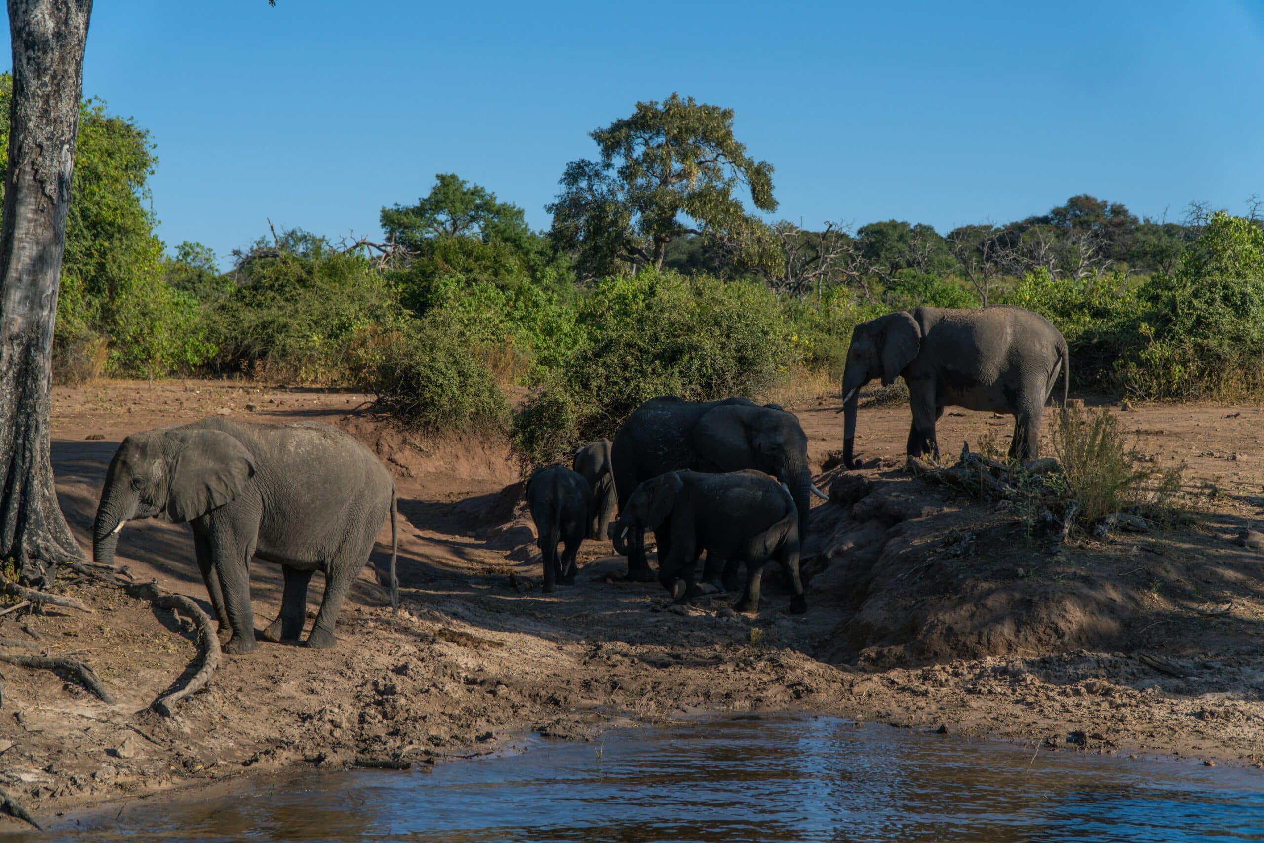 Okavango (Botswana)
