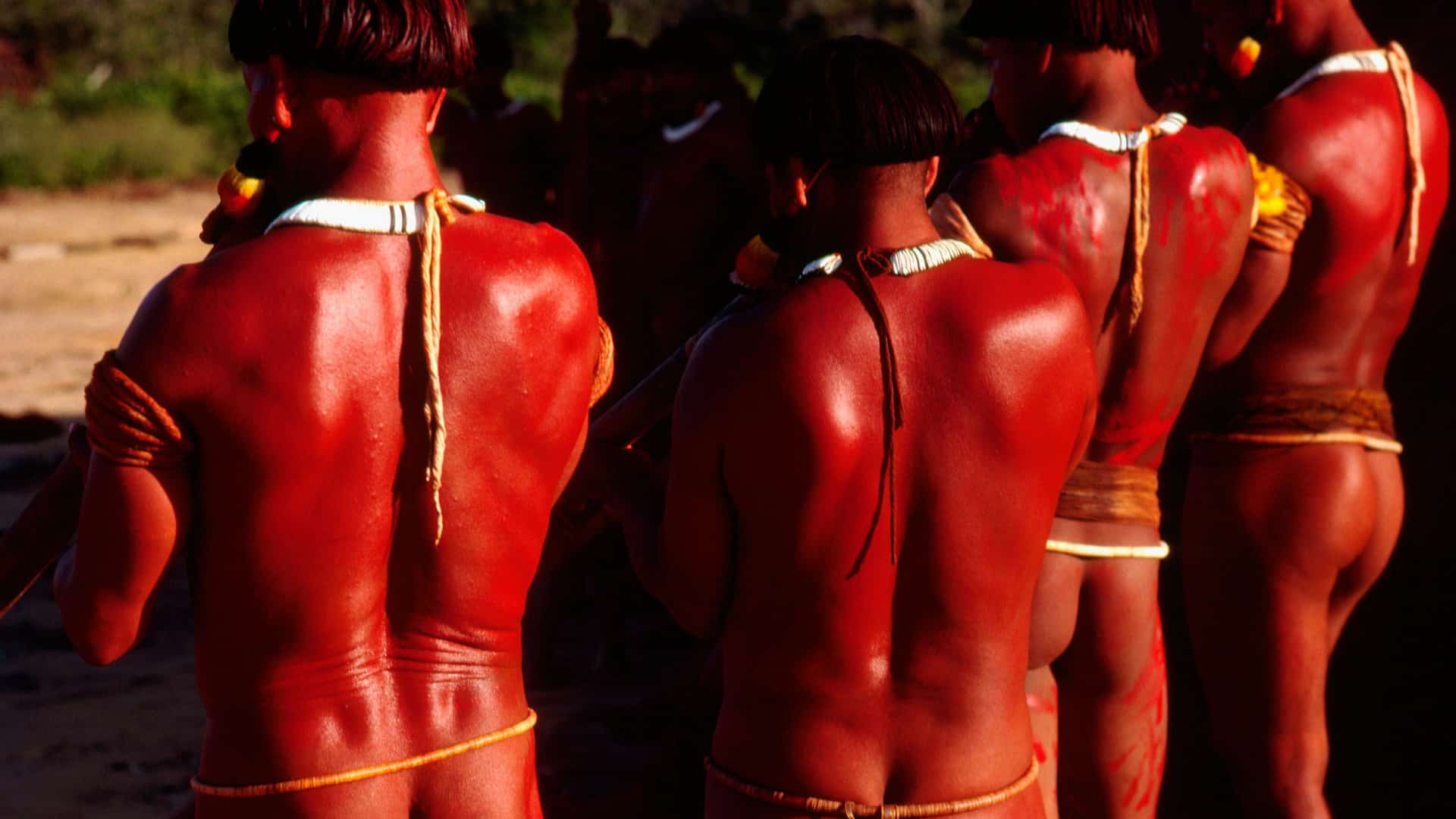 Xingu/Terra