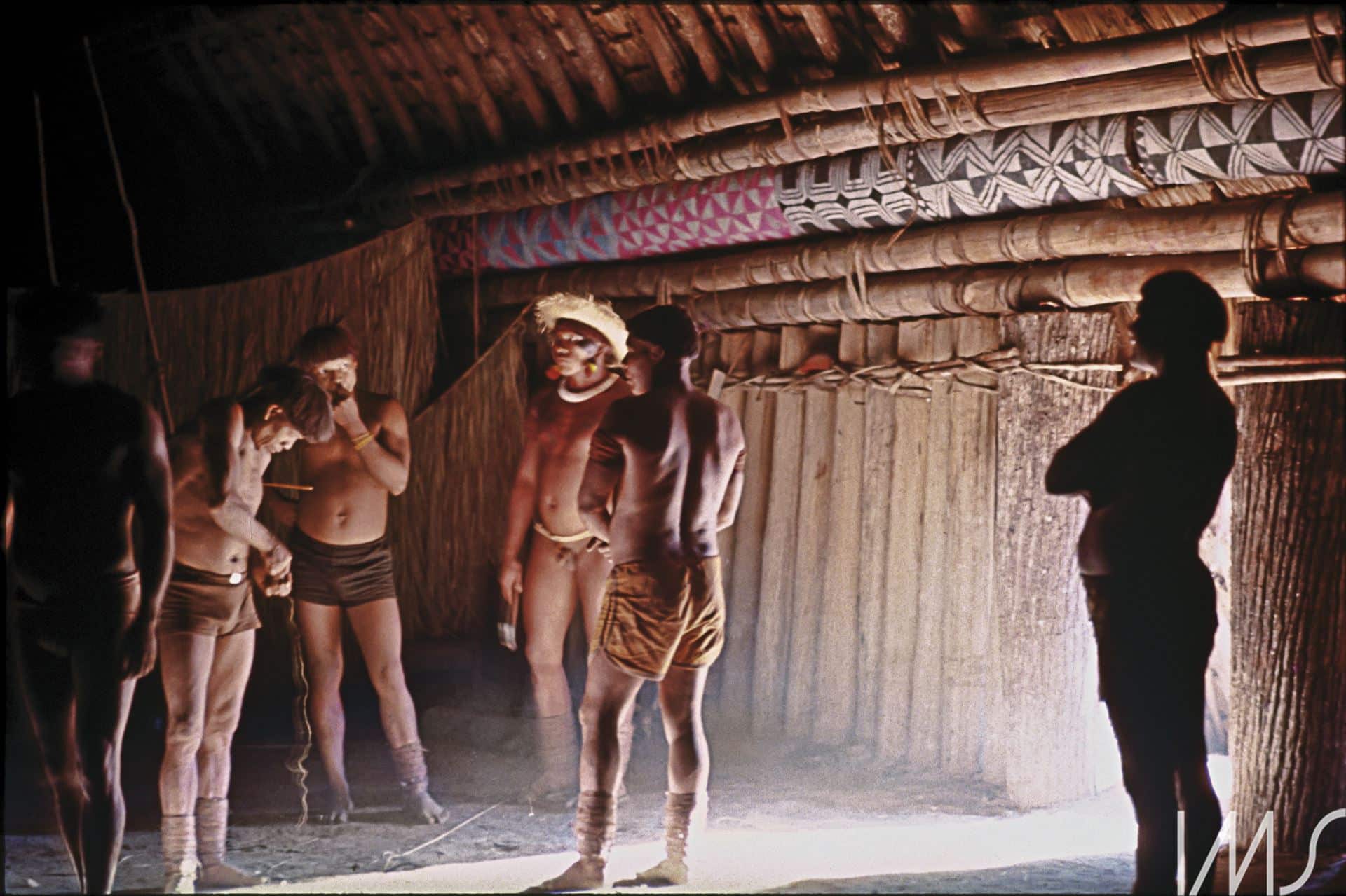 Xingu/Terra