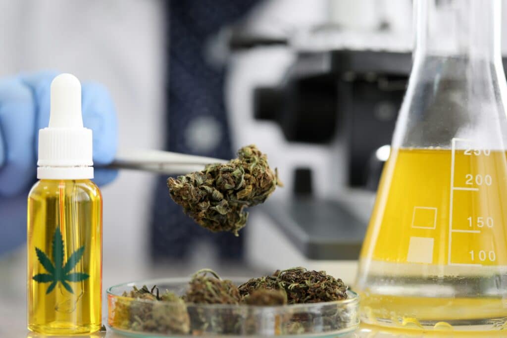 oleo de cannabis