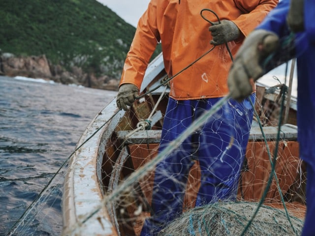pesca