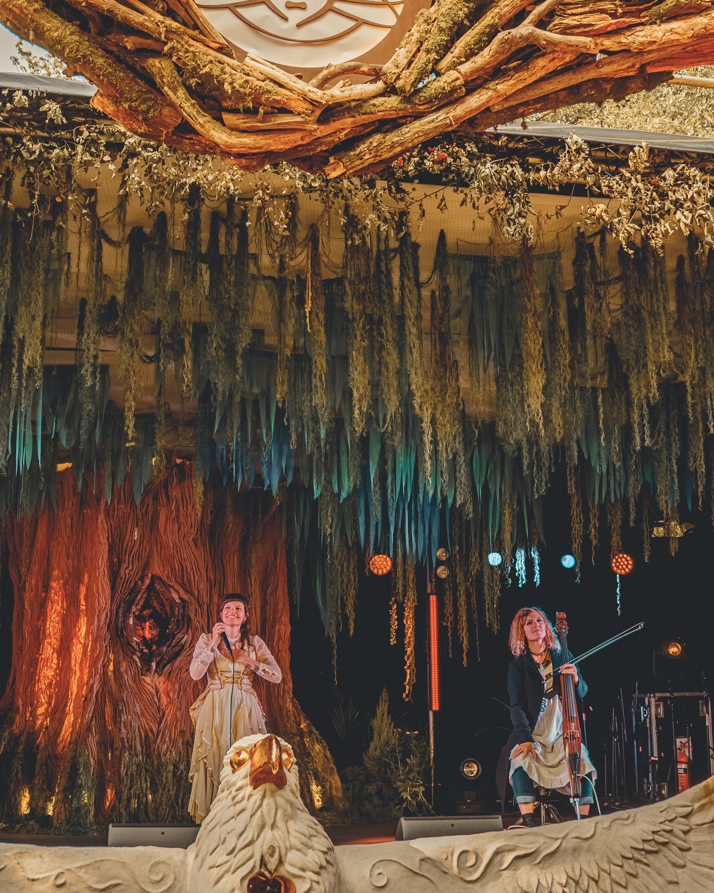 Medicine Festival